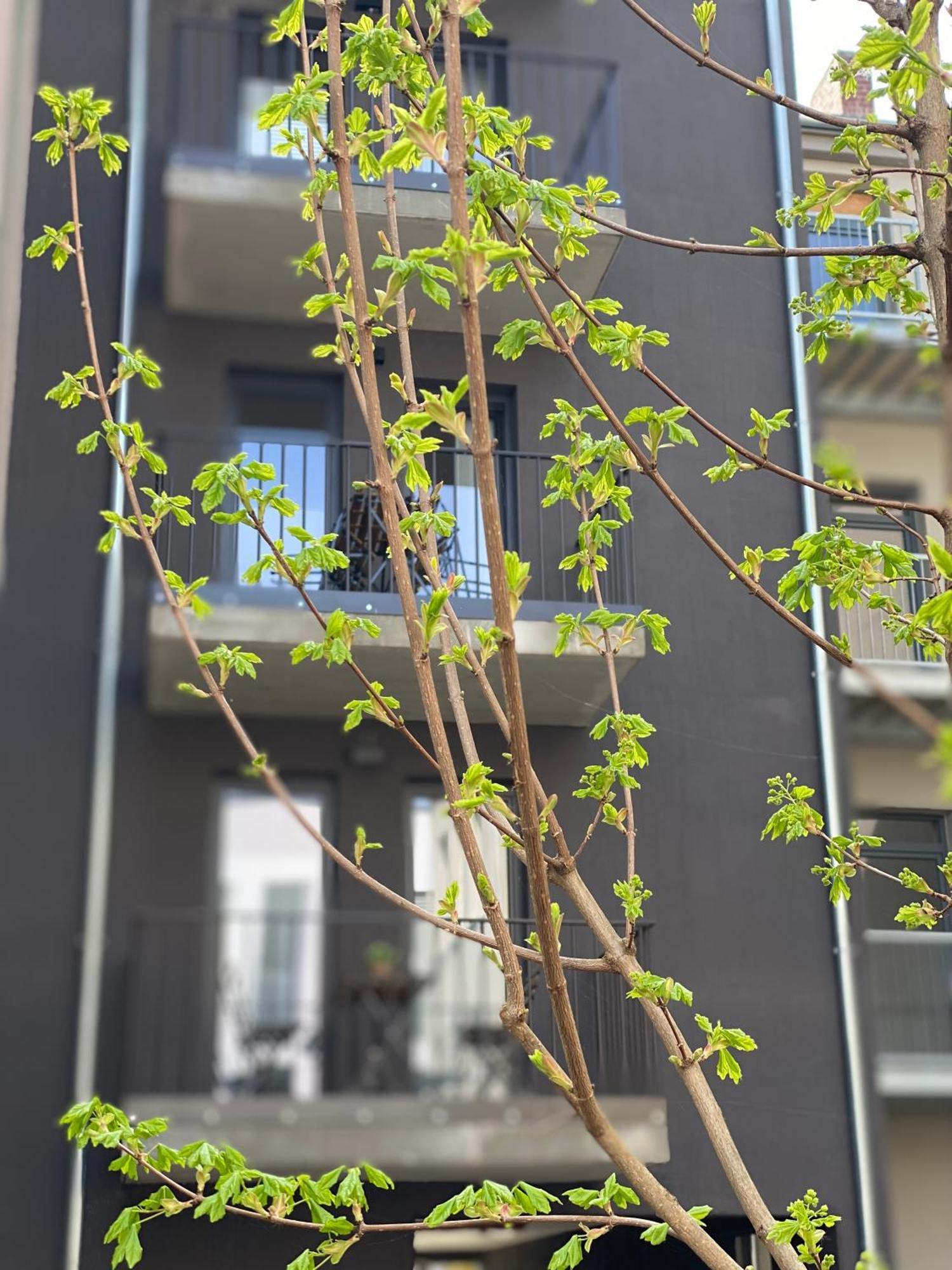 Eiwelhome - Stilvoll, Urban-Ruhig Schlafen, Bahnhofsnah, Balkon إرفورت المظهر الخارجي الصورة